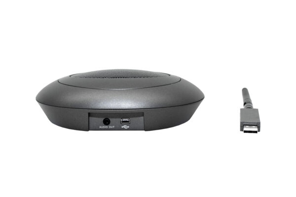 Microphone - Image 3